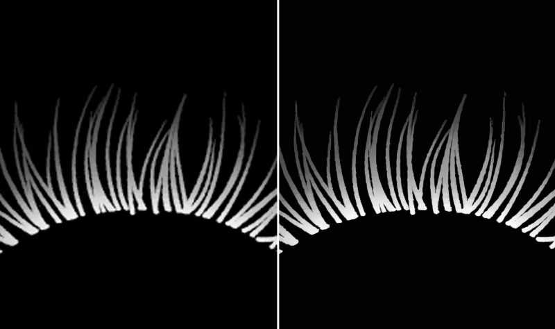 Eyes Brows and Lashes Redone – MonstrrMagic Texture Series