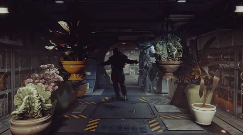 Interior Ship Customization